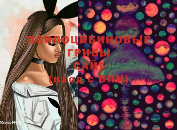 гашик Медвежьегорск