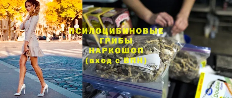 Псилоцибиновые грибы MAGIC MUSHROOMS  Георгиевск 