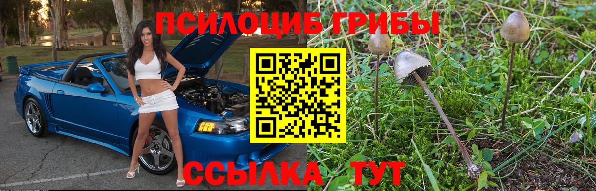 ГАШ Георгиевск